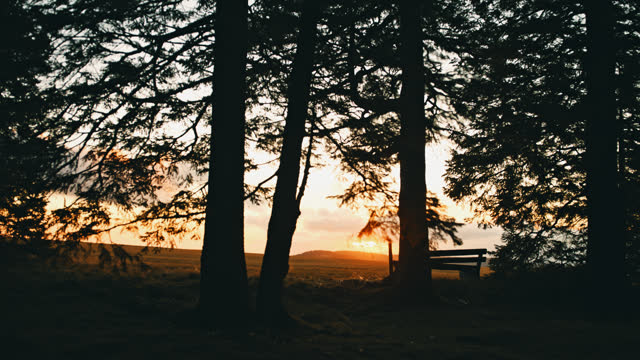 SLOW MOTION Silhouetted Trees And Bench In Remote Landscape At Sunset
