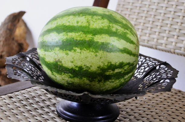 The mini citrullus lanatus fruit in the fruit bowl