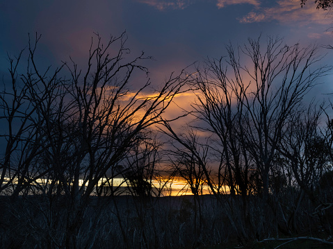 Dramatic sunset at Falls Creek with dead burnt trees in silhouette