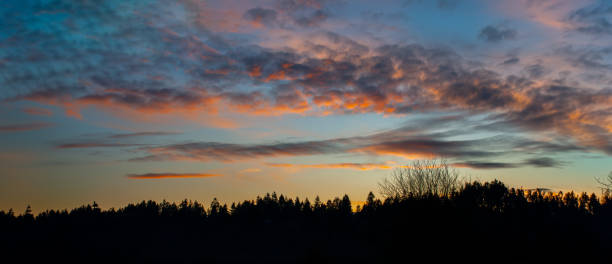 Winter Sunset Silhouette stock photo