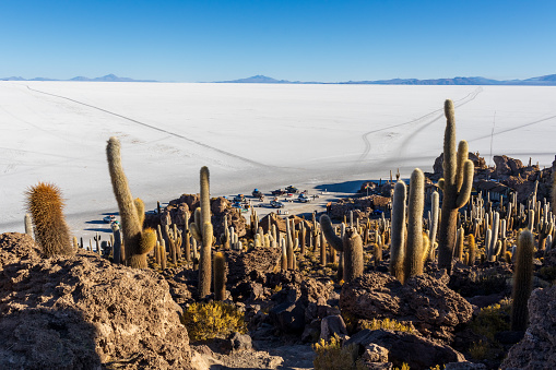 Potosi Department, Bolívia - August 4, 2023: Incahuasi Island with Giant Cacti in Salar de Uyuni.