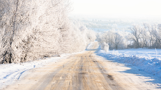 A snow-covered road and trees in frost to the horizon landscape