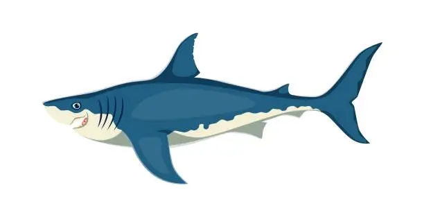 Vector illustration of Cartoon shark character, magnificent sea animal