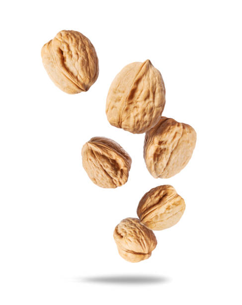 istock Whole walnuts in the air close up isolated on a white background 1958749637