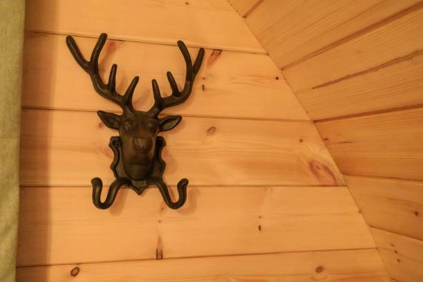 istock Elegant Deer Head Sculpture on Wooden Wall 1958751215