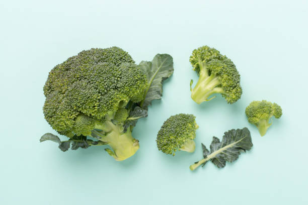 istock Flat lay with fresh broccoli on color background 1958758878