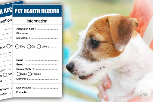 Animal medical record or health record card in conner with blurred background of person holding dog in hands.