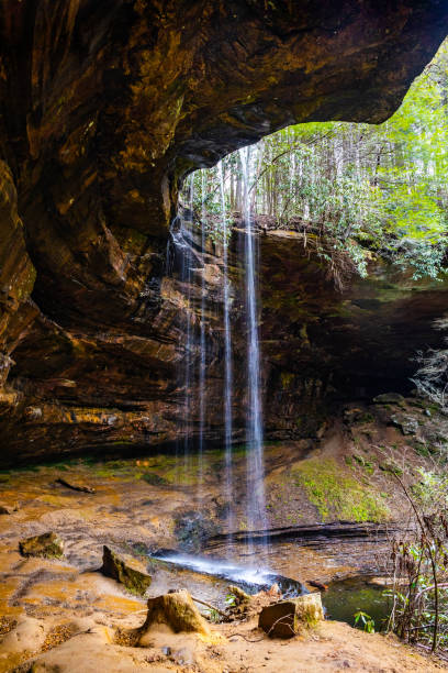 istock Northrup Falls scenic view at the trail park 1958874809