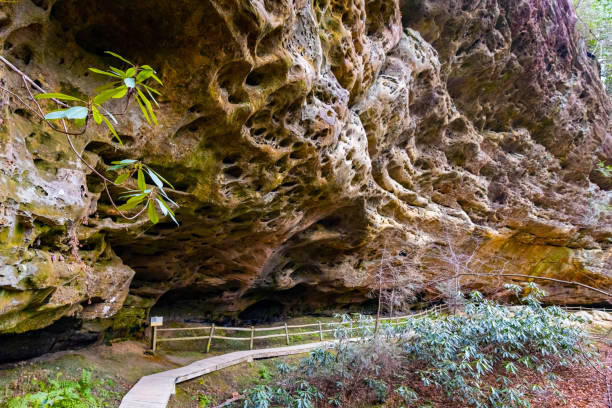 istock Hazard Cave trail rocks formation at Big South Fork National recreation area 1958877390