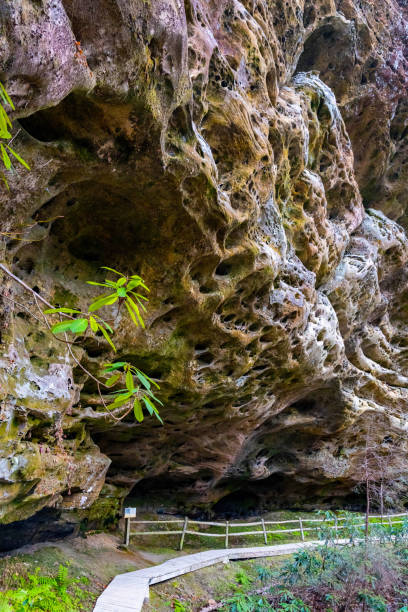 istock Hazard Cave trail rocks formation at Big South Fork National recreation area 1958877394