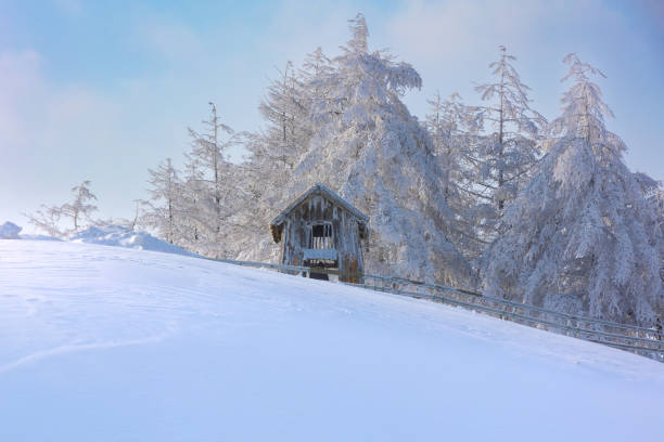 Snowscape in Daegwallyeong, Gangwon-do
