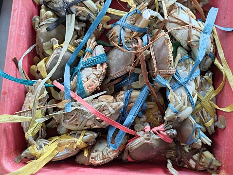 Fresh crabs, traditional markets, seafood