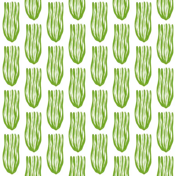 Vector illustration of Green seagrass seaweed vector seamless pattern. Simple hand drawn sea life background flat design illustration.