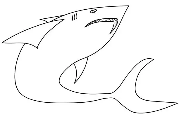 Vector illustration of White shark, black line drawing pattern for coloring.