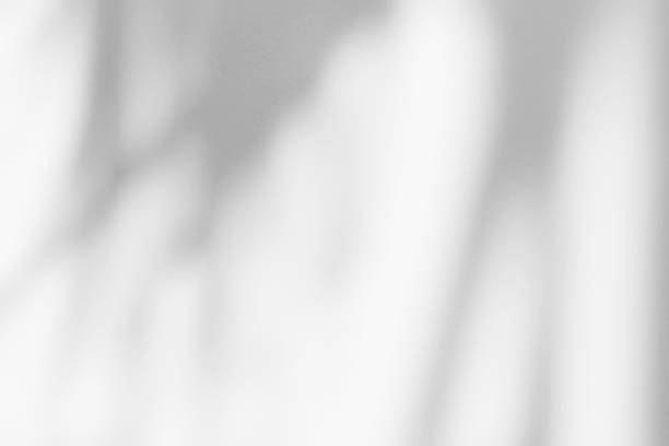istock White wall with shadow of leaves overlay. 1959132943