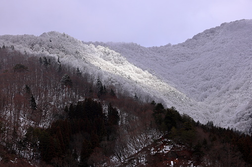 Mountains near village of Shirakawa-go located in Gifu Prefecture, Japan