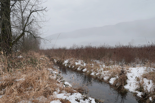 Looking at a ditch along Rannie Road near the Grant Narrows Regional Park and Pitt River Dike during a snowy winter season in Pitt Meadows, British Columbia, Canada.