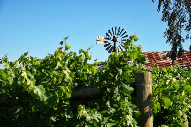 Weather vane on a roof of rural house