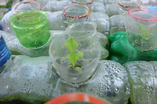 istock creative ways to use plastic bottles for planting - environmentally friendly living 1959198005