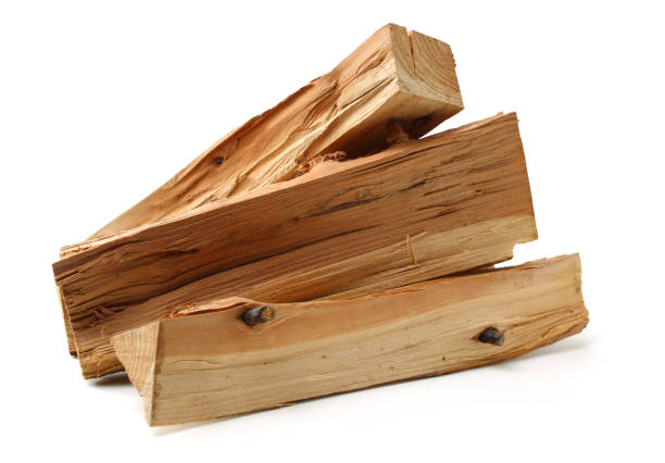 istock Pile of firewood 1959244893