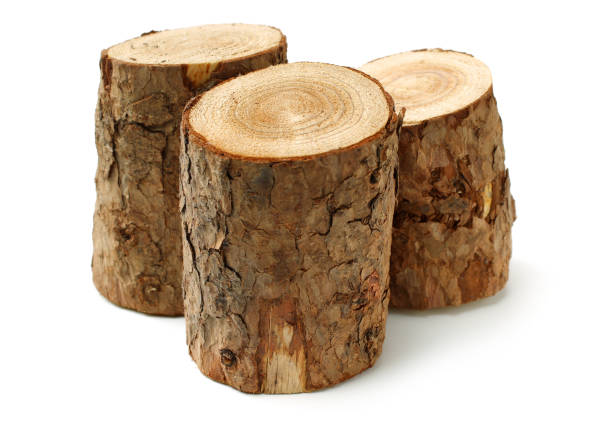 istock Pile of firewood 1959250088