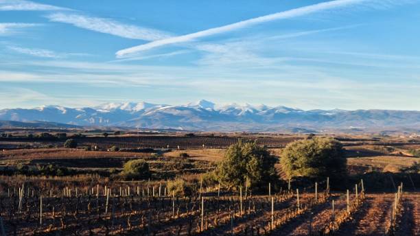 Cloudy sky over the wineyards with the snowy mountains in the background