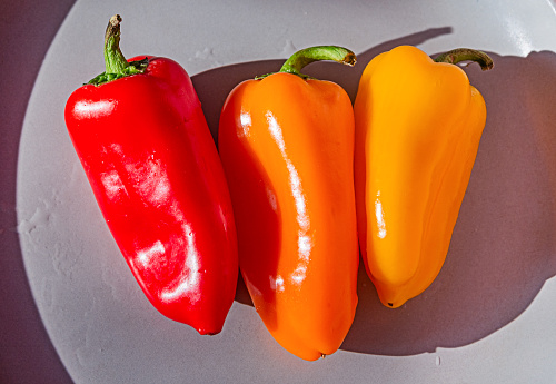 Three multi-colored bell peppers with a shadow are on a gray plate.