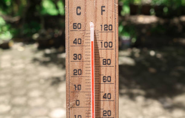 istock Celsius and fahrenheit scale thermometer shows plus 30 degrees during midday in Asia with trees in the background. The thermometer shows temperatures above 40 degrees in summer 1959373011