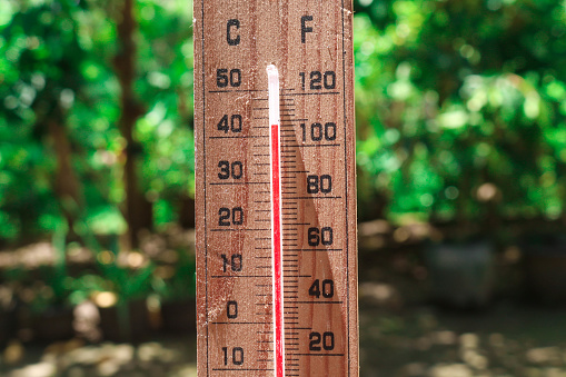 Celsius and fahrenheit scale thermometer shows plus 30 degrees during midday in Asia with trees in the background. The thermometer shows temperatures above 40 degrees in summer