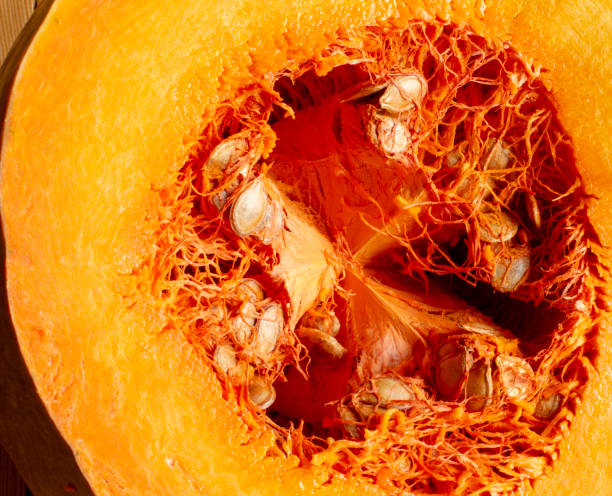istock Pumpkin fresh close-up macro details from inside - texture and background 1959407618
