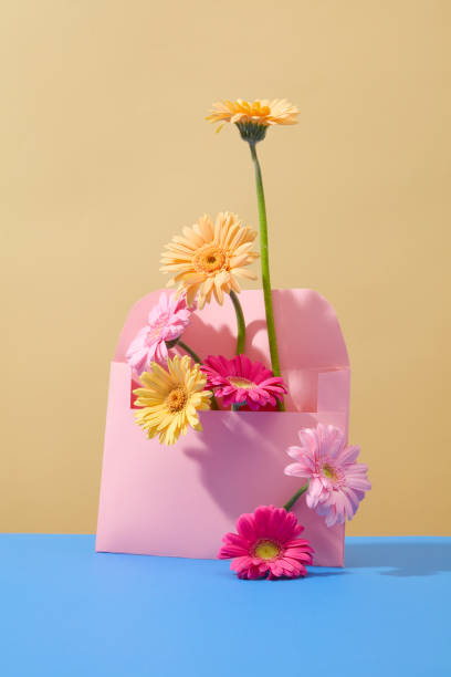 istock Brightly colored gerbera flowers are decorated around a pastel pink envelope on a minimalist background. Gerbera flowers mean fortune and luck. 1959436213