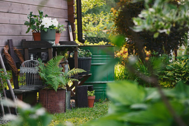istock Gardener work bench (potting table) in summer garden. Wooden rustic style house, different tools and pots. Rainwater barrel on background. 1959448922