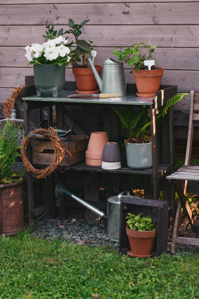istock Gardener work bench (potting table) in summer garden. Wooden rustic style house, different tools and pots. 1959449430