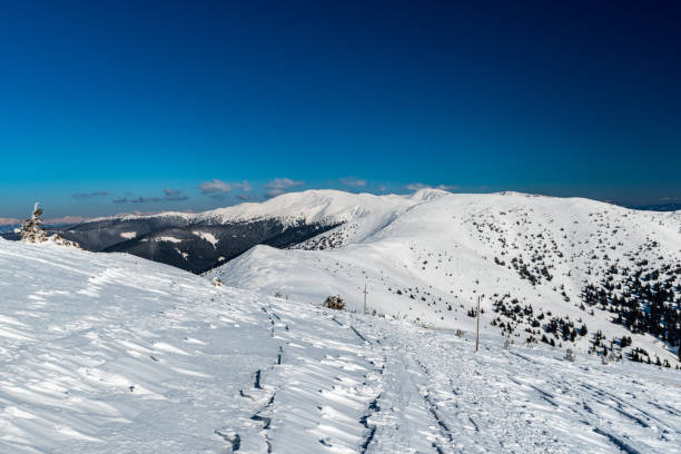 Beautiful winter Nizke Tatry mountains in Slovakia Beautiful winter Nizke Tatry mountains in Slovakia - view from hiking trail bellow Velka hola hill summit durkova stock pictures, royalty-free photos & images