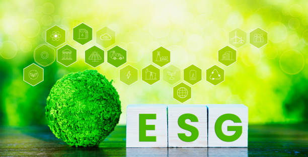 istock ESG Wooden Insight: Nurturing Sustainable Organizational Growth 1959462481