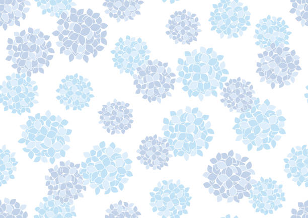 illustrazioni stock, clip art, cartoni animati e icone di tendenza di seamless blue hydrangea pattern vector illustration isolated on a white background. - ortensia