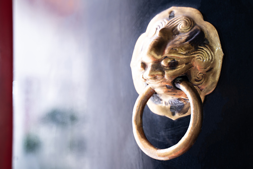 The door handle is decorated with a lion head on the black door. door knocker with lion.