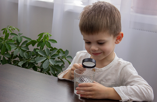 A child looks at the water through a magnifying glass. Selective focus.