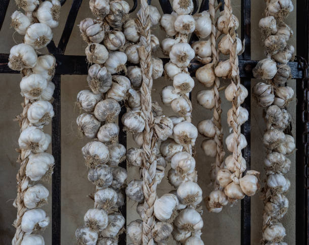 istock dried garlic on ropes against the wall 1959514953