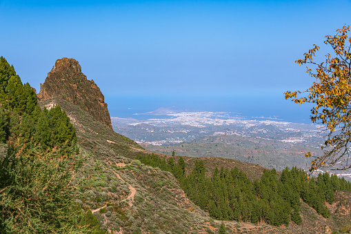 Panoramic View To Las Palmas De Gran Canaria And Its Harbor