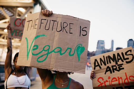 Group of women showing their messages supporting veganism and cruelty-free culture.