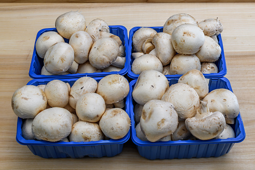 Isolated fresh edible mushrooms in blue containers lie on the table, white mushroom
