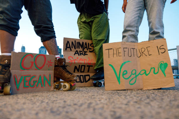 istock Vegan protest for animal rights 1959550410