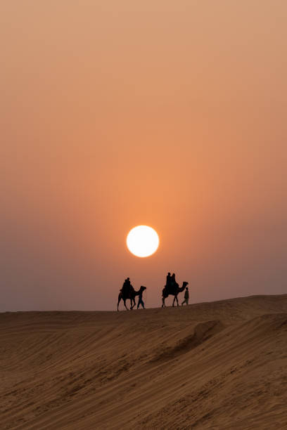 silhouette di cammelli nel deserto con la gente al tramonto - india travel journey camel foto e immagini stock