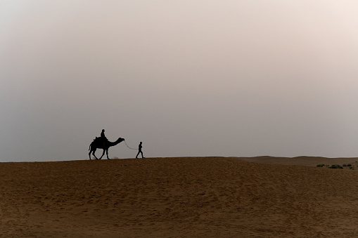 Silhouette of camels in the desert with people at sunrise