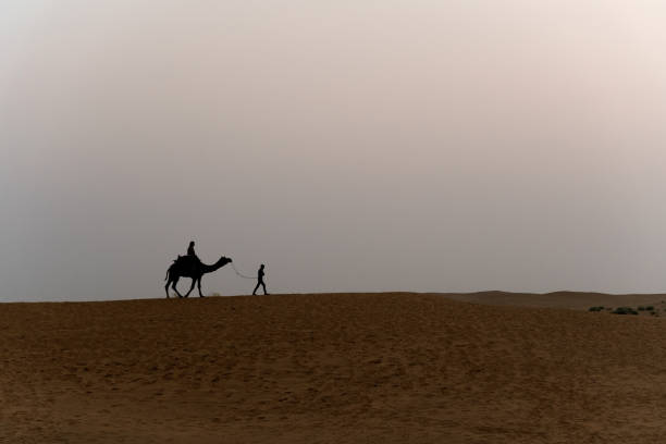 Silhouette of camels in the desert with people at sunrise Silhouette of camels in the desert with people at sunrise dubai desert stock pictures, royalty-free photos & images