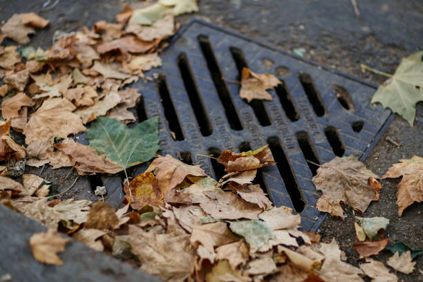 istock Storm Drain Grate stock photo 1959573787