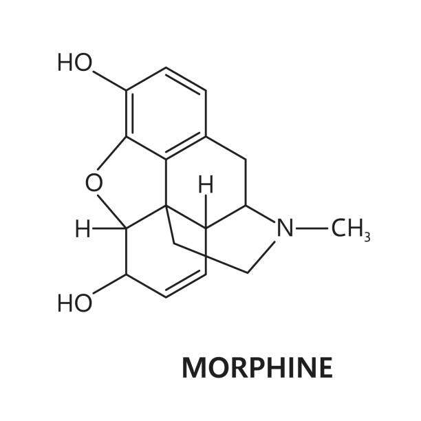 Morphine drug molecule formula, chemical structure Morphine drug molecule and formula, chemical structure of opiate narcotic, vector model. Synthetic or organic opioid drug and prohibited stimulant substance, morphine formula and molecular structure morphine drug stock illustrations