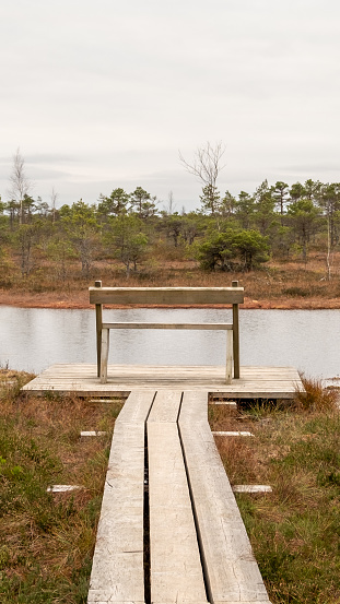 At journey's end, embrace serenity on this wooden bench, the vista a reflection of autumn's grace, a serene embrace with the tranquil swamp lake.