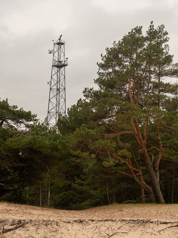 Amidst the woodland tapestry, the communication tower rises, a modern sentinel connecting horizons, bridging worlds through unseen threads in the sky.